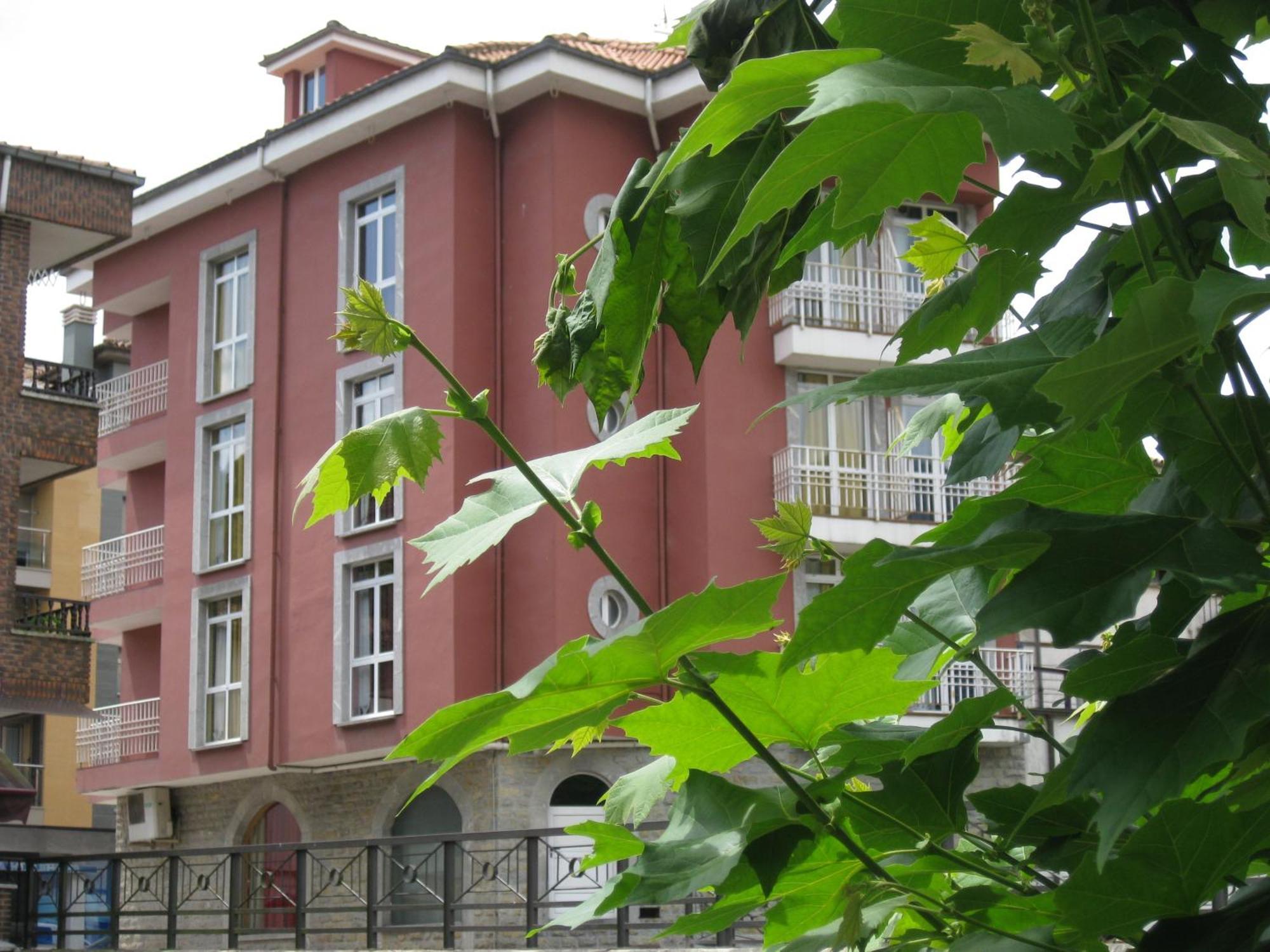 Hotel Los Acebos Cangas Onís Exterior foto