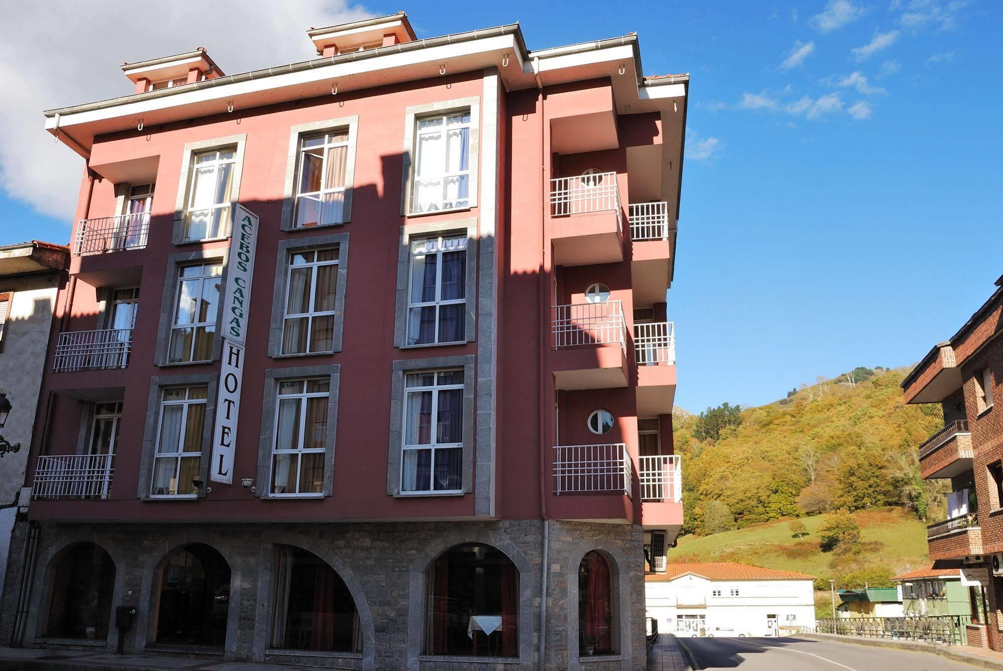 Hotel Los Acebos Cangas Onís Exterior foto